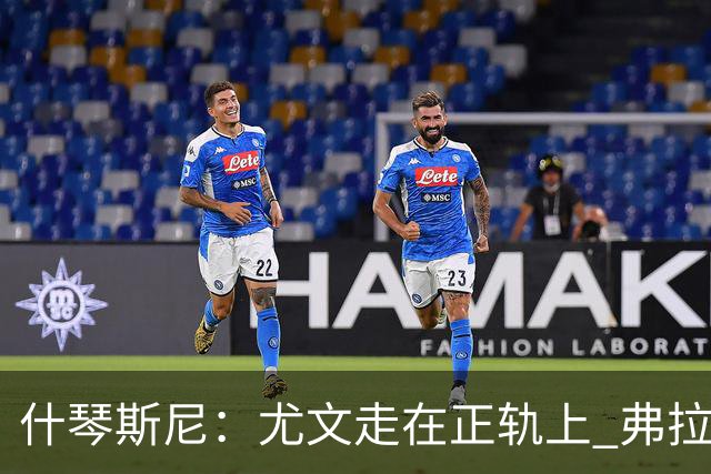 什琴斯尼：尤文走在正轨上 弗拉霍维奇非常出色