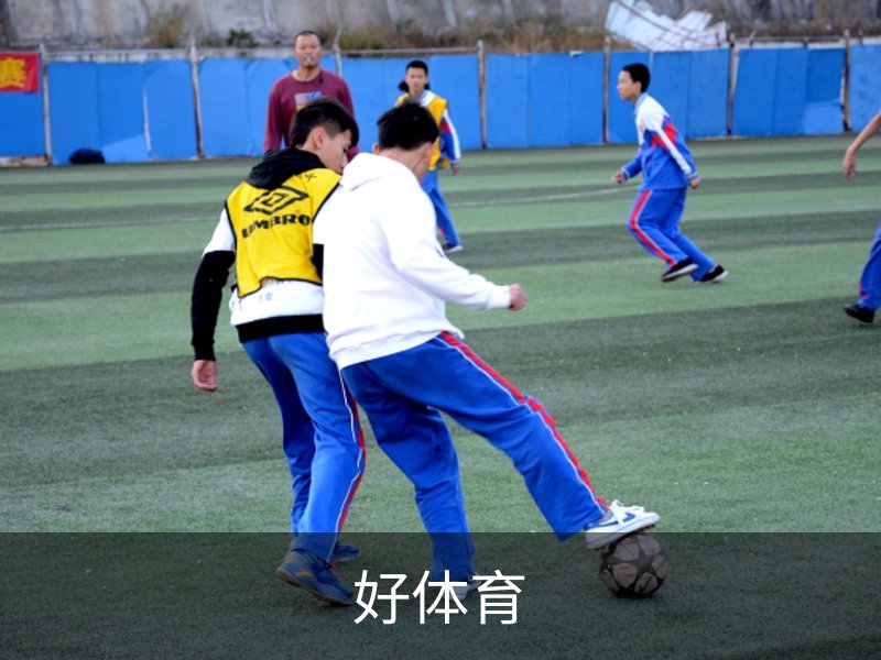 走进好体育